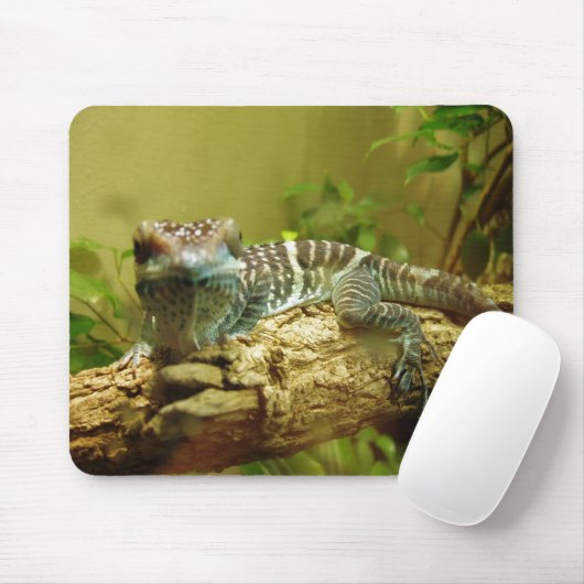 Gecko Mousepad (Mit Mouse)