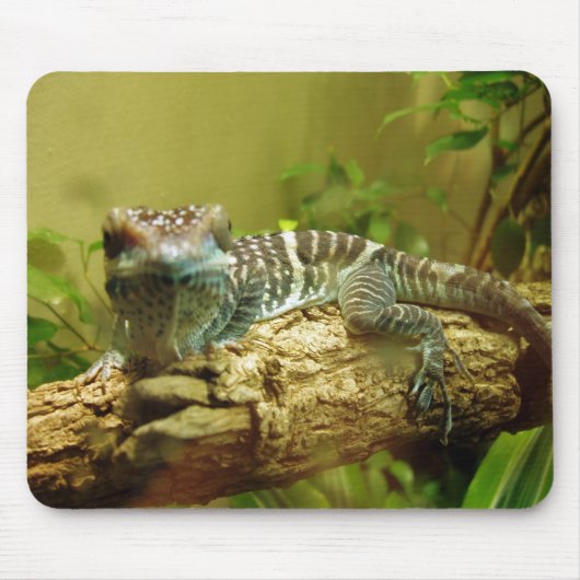 Gecko Mousepad (Vorne)