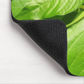 Gecko Mousepad (Ecke)