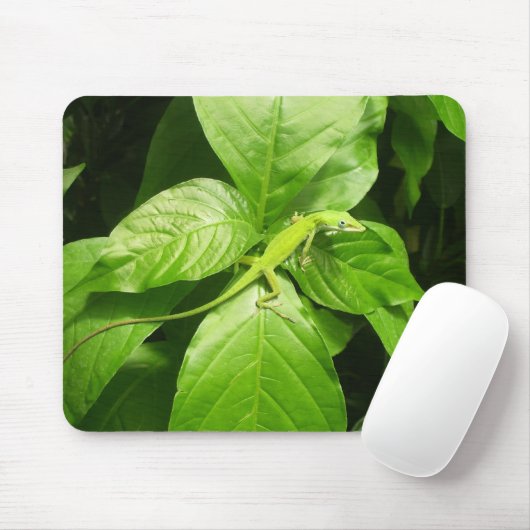 Gecko Mousepad (Mit Mouse)