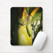 Gecko-Mousepad Mousepad (Mit Mouse)