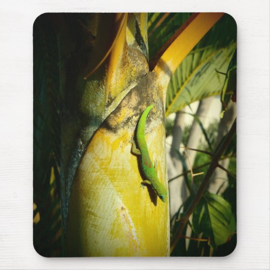 Gecko-Mousepad Mousepad (Vorne)