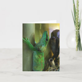 gecko notecard #2 (Förderung) Karte