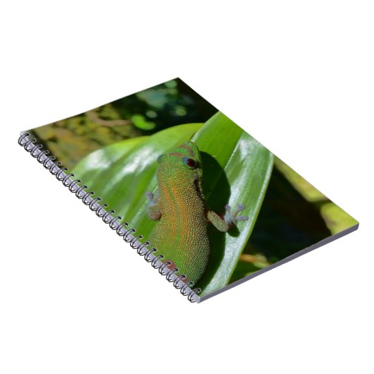 Gecko Notizblock (Rechte Seite)