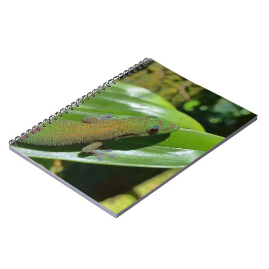 Gecko Notizblock (Linke Seite)