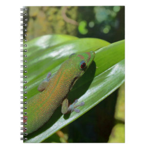 Gecko Notizblock