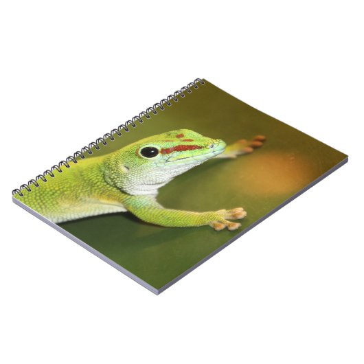 Gecko Notizblock (Linke Seite)