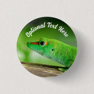 Gecko - Phelsuma grandis Button