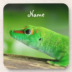 Gecko - Phelsuma grandis Getränkeuntersetzer