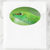 Gecko - Phelsuma grandis Ovaler Aufkleber (Tasche)