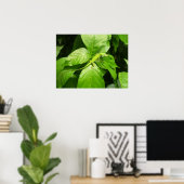 Gecko Poster (Heimbüro)