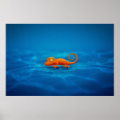 Gecko Poster (Vorne)