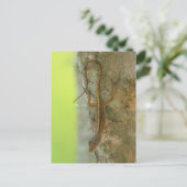 Gecko Postkarte (Stehend Vorderseite)