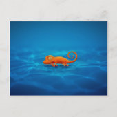 Gecko Postkarte (Vorderseite)
