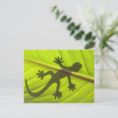 Gecko Postkarte (Stehend Vorderseite)