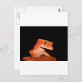 Gecko Postkarte (Vorne/Hinten)