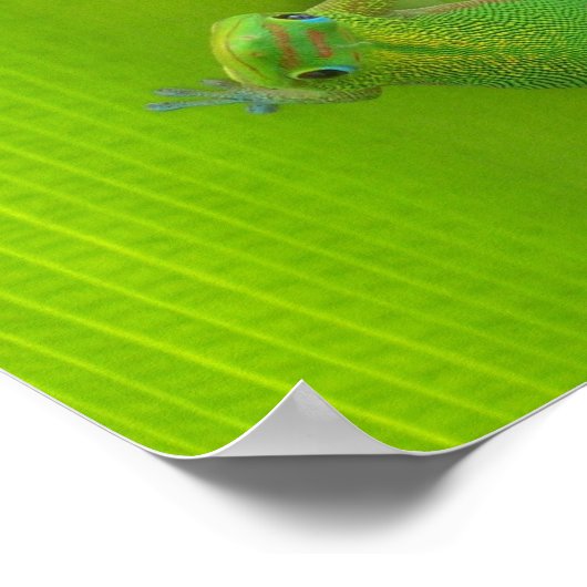 Gecko Print Poster (Ecke)