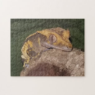 Gecko-Puzzle Puzzle