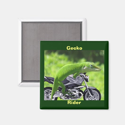 Gecko-Rider Magnet (Vorderseite/Rückseite)
