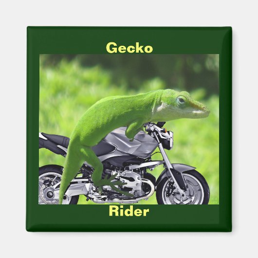 Gecko-Rider Magnet (Vorne)
