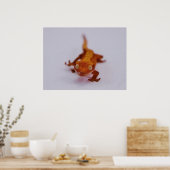 Gecko-Schließung Poster (Küche)