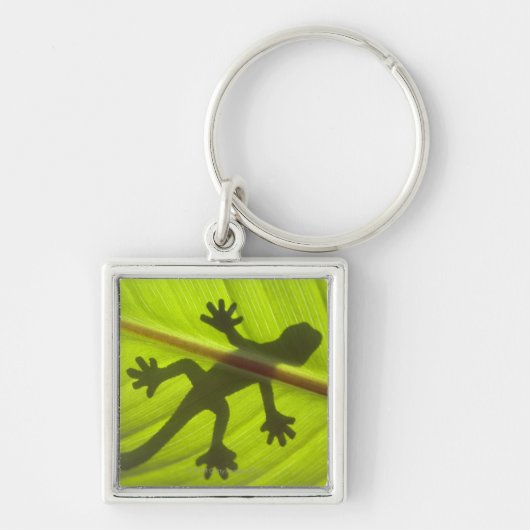 Gecko Schlüsselanhänger (Vorne)