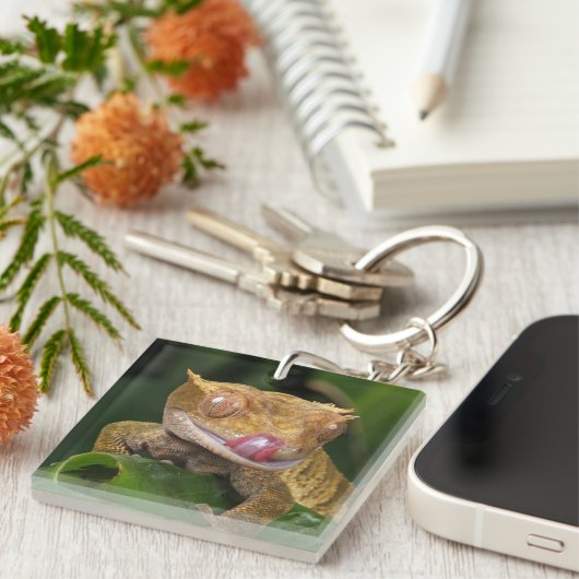 Gecko Schlüsselanhänger (Vorderseite rechts)