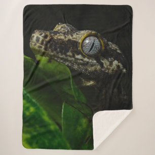 GECKO SHERPADECKE