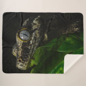GECKO SHERPADECKE (Vorderseite (Horizontal))