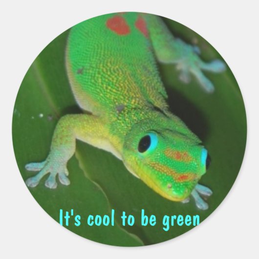 Gecko-Sicht - Es ist cool, grün zu sein Runder Aufkleber (Vorderseite)
