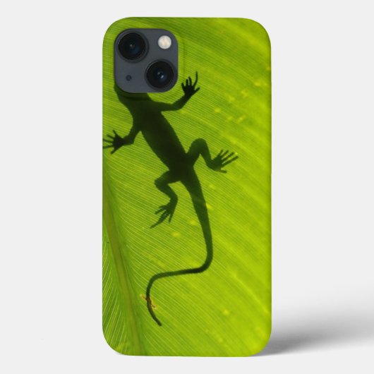 Gecko Silhouette Case-Mate iPhone Hülle (Rückseite)
