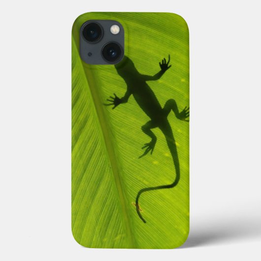Gecko Silhouette Case-Mate iPhone Hülle (Rückseite)