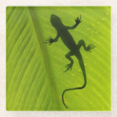 Gecko-Silhouette Glasuntersetzer (Vorderseite)