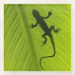 Gecko-Silhouette Glasuntersetzer