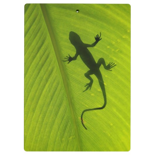 Gecko-Silhouette Klemmbrett (Rückseite)