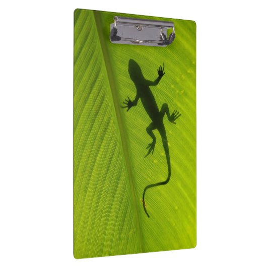 Gecko-Silhouette Klemmbrett (Rechts)