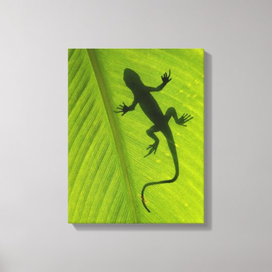 Gecko Silhouette Leinwanddruck (Vorderseite)