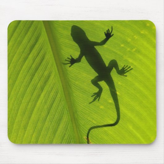 Gecko-Silhouette Mousepad (Vorne)