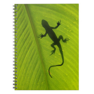 Gecko-Silhouette Notizblock