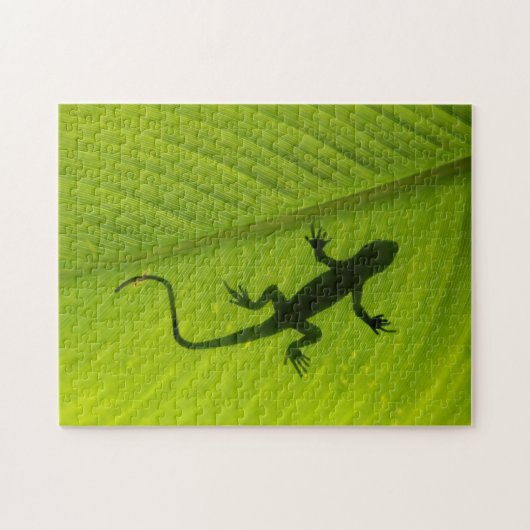 Gecko-Silhouette Puzzle (Horizontal)
