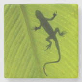 Gecko-Silhouette Steinuntersetzer (Vorderseite)