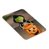 Gecko Skeleton Magnet (Rechte Seite)