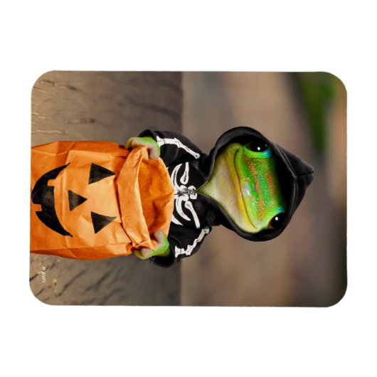 Gecko Skeleton Magnet (Horizontal)