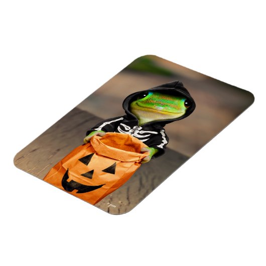 Gecko Skeleton Magnet (Linke Seite)
