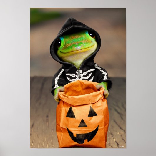 Gecko Skeleton Poster (Vorne)