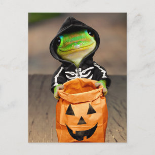 Gecko-Skelett Einladungspostkarte