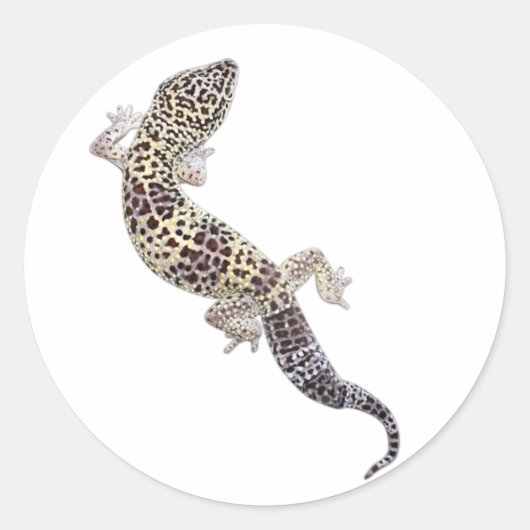 Gecko Stickers 01 (Vorderseite)