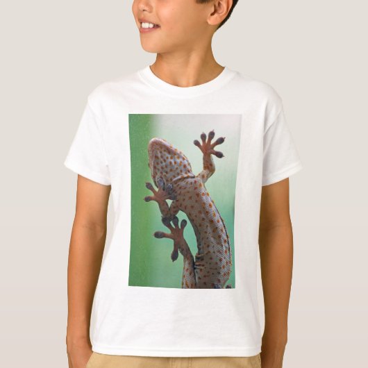 Gecko T - Shirt (Vorderseite)