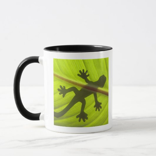 Gecko Tasse (Links)