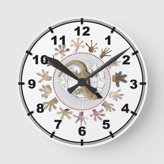 Gecko-Uhr Runde Wanduhr (Vorderseite)